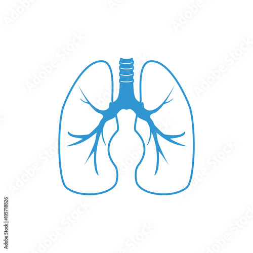 Human lungs vector