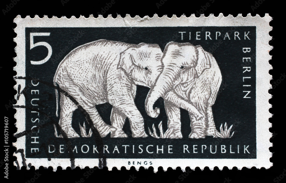Naklejka premium Stamp printed in GDR shows Elephant, Berlin, German Zoological Garden, circa 1956