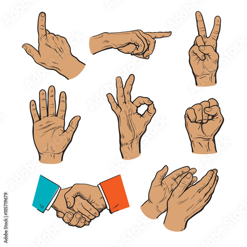 Drawn hands. A set of hands and fingers.