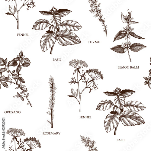 Seamless vector pattern with hand drawn spices and herbs sketch. Decorative vintage spice background.