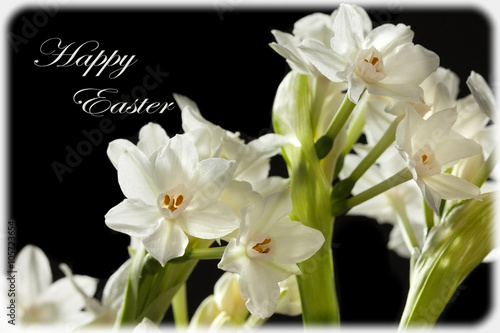 Ziva Paperwhites Flowers Happy Easter Greeting Card photo