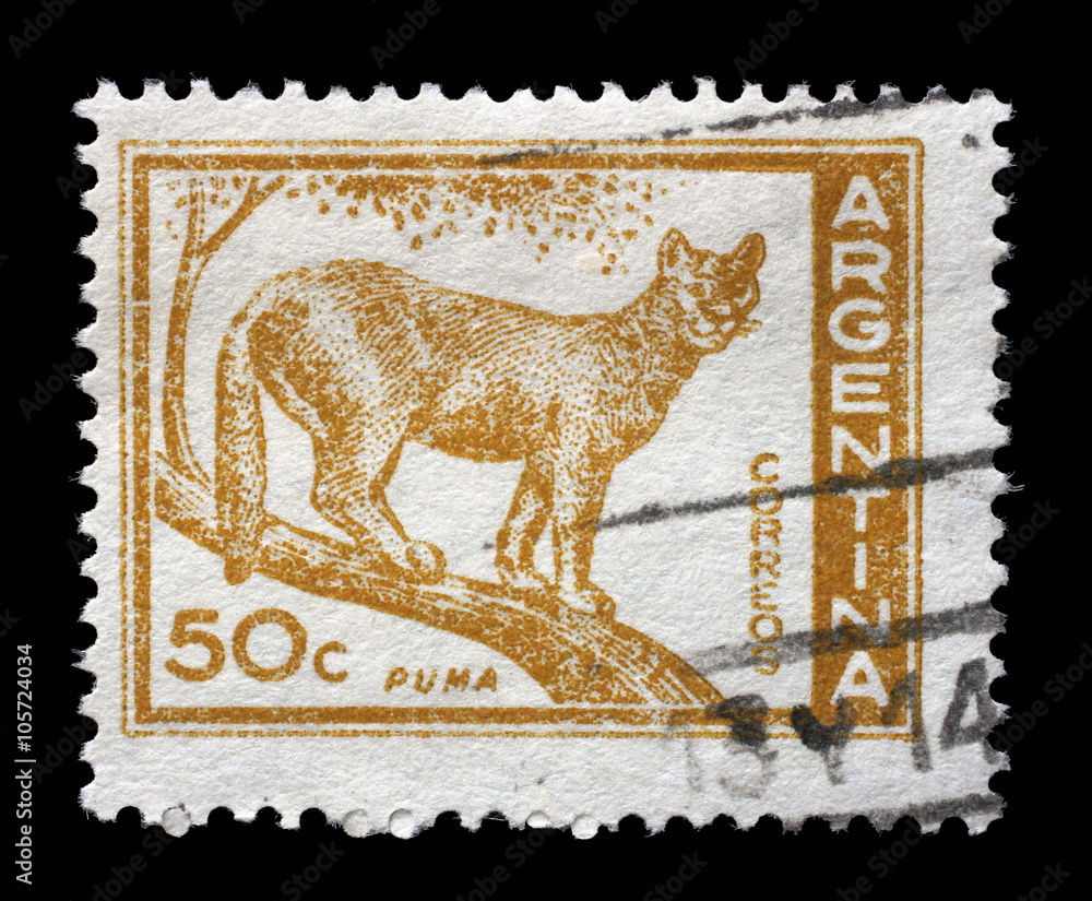 Fototapeta premium Znaczek wydrukowany w Argentynie przedstawia Puma, Cougar, Puma Concolor, około 1960