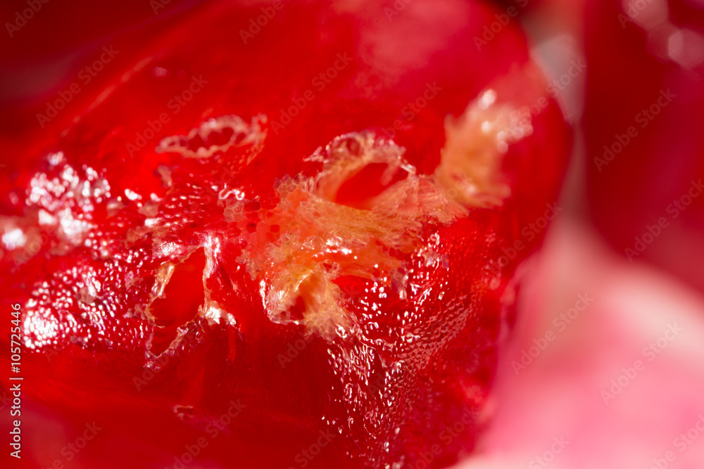 Pomegranate as a background. super macro Pomegranate as a background. super macro