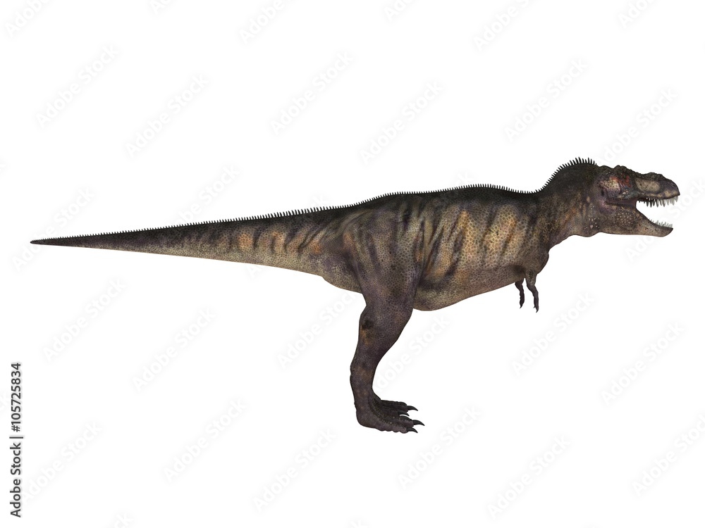 Fototapeta premium 3d render of a Dinosaur inside a white stage