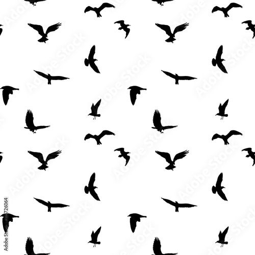 Seamless pattern of flying birds silhouettes on white background. Vector illustration © boxerx
