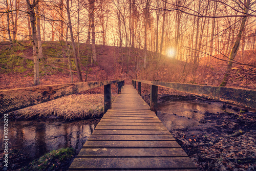 Forest bridge in the sunrise © Polarpx