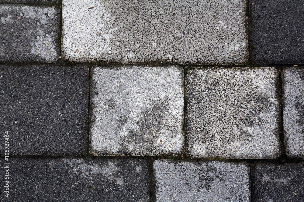 Stone Paved Garden Path Stone Paved Garden Path
