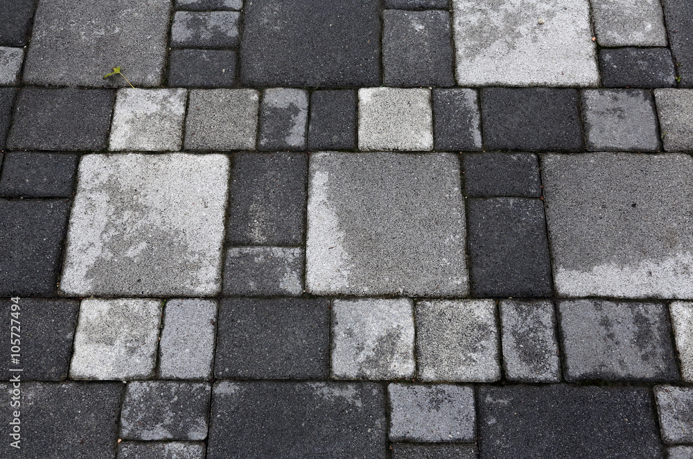 Stone Paved Garden Path
