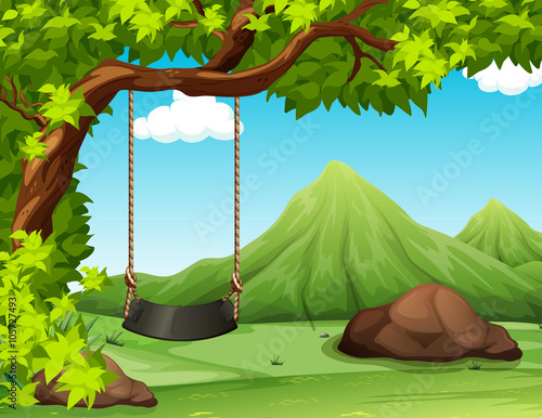 Nature scene with swing on the tree