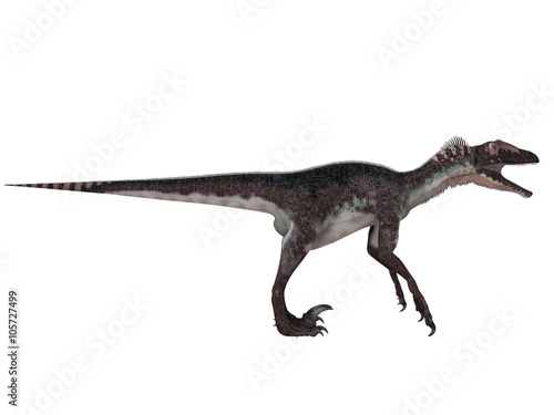 3d render of a Dinosaur inside a white stage