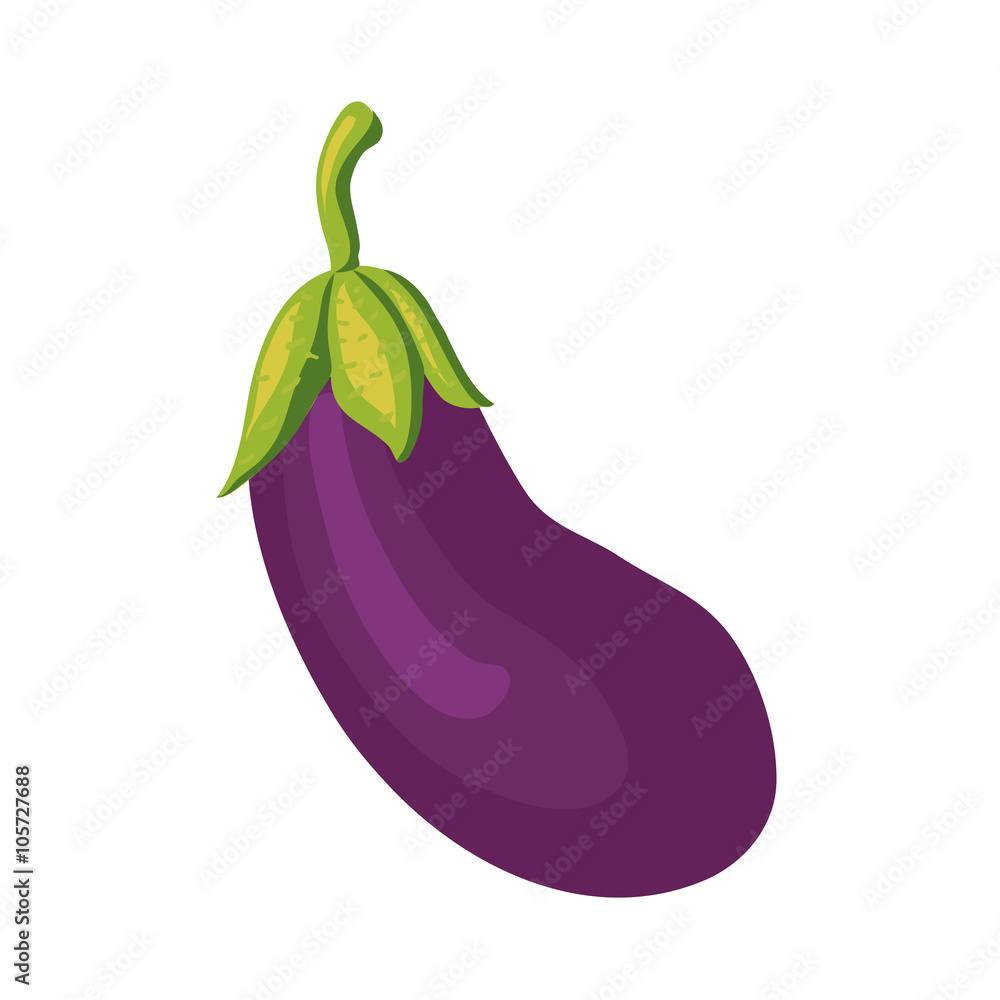 violet eggplant osolated on white violet eggplant osolated on white