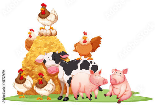Farm animals with haystack