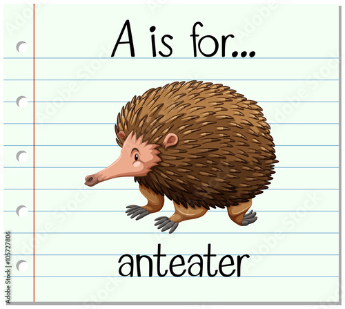 Flashcard letter A is for anteater