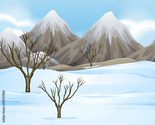 Nature scene with snow on the ground