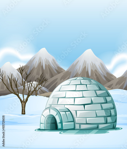 Nature scene with igloo on the ground
