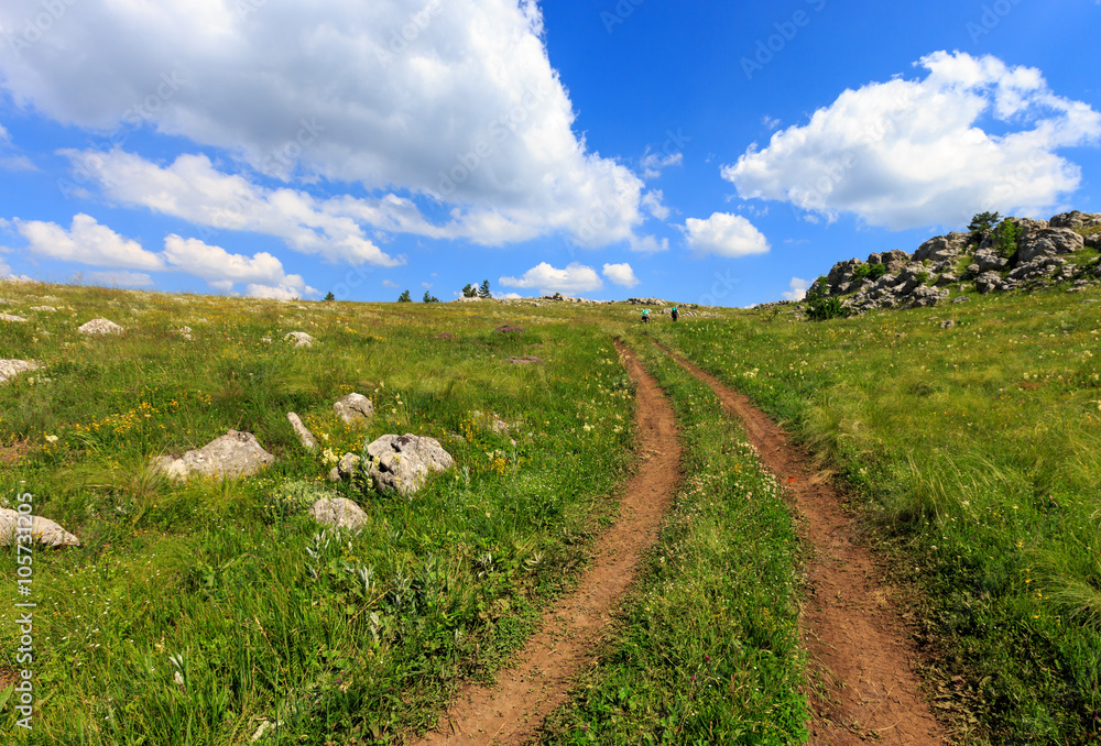 Fototapeta premium rut road across mountain meadow