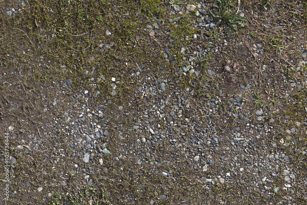 Muddy Driveway Muddy Driveway