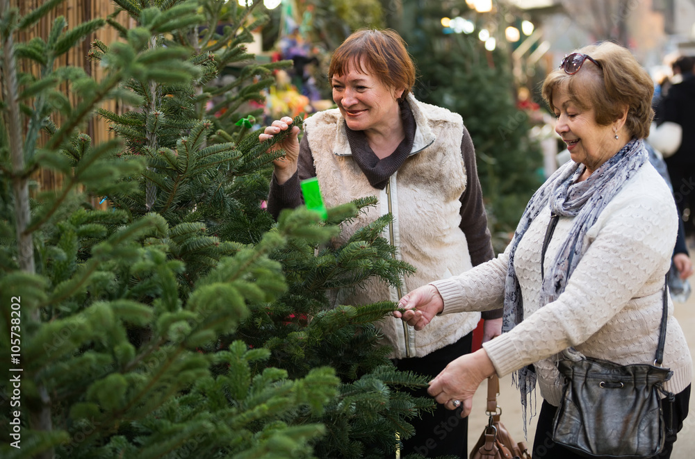 Fototapeta premium female pensioners buying New Year tree at fair