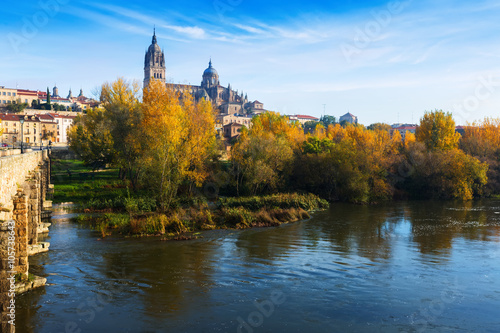  November view of Salamanca from old bridge