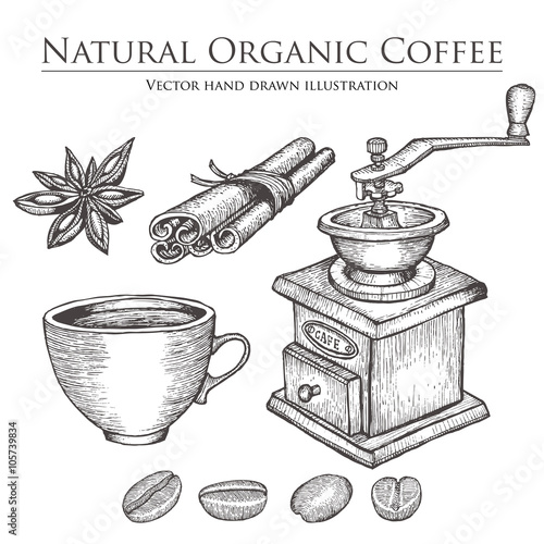 Coffee mill ,bean, seed, fruit, cinnamon, star anise, cup. Hot natural organic caffeine drink set. Hand drawn vector illustration on white background.