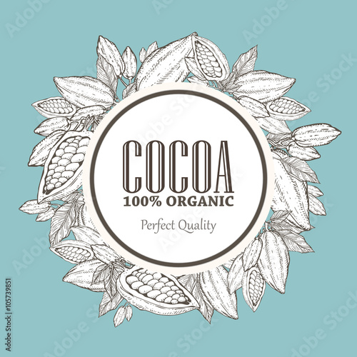 Hand painted cocoa wreath botany illustration. Decorative doodle of healthy nutrient food.