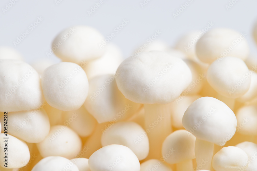 Enoki mushroom, Golden needle mushroom Enoki mushroom, Golden needle mushroom
