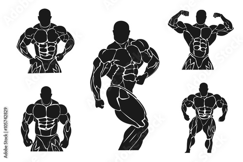 Bodybuilding and powerlifting concept, icon, banner, template, badge 