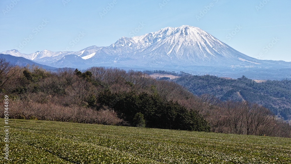 Fototapeta premium 春の大山 壺瓶山より