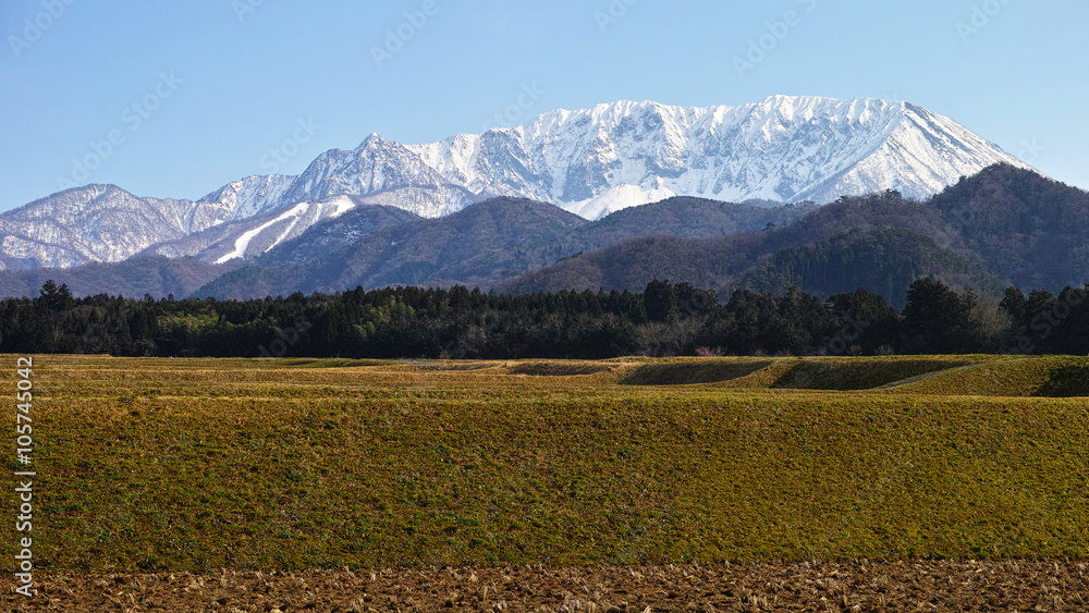 Obraz premium 春の大山 北麓