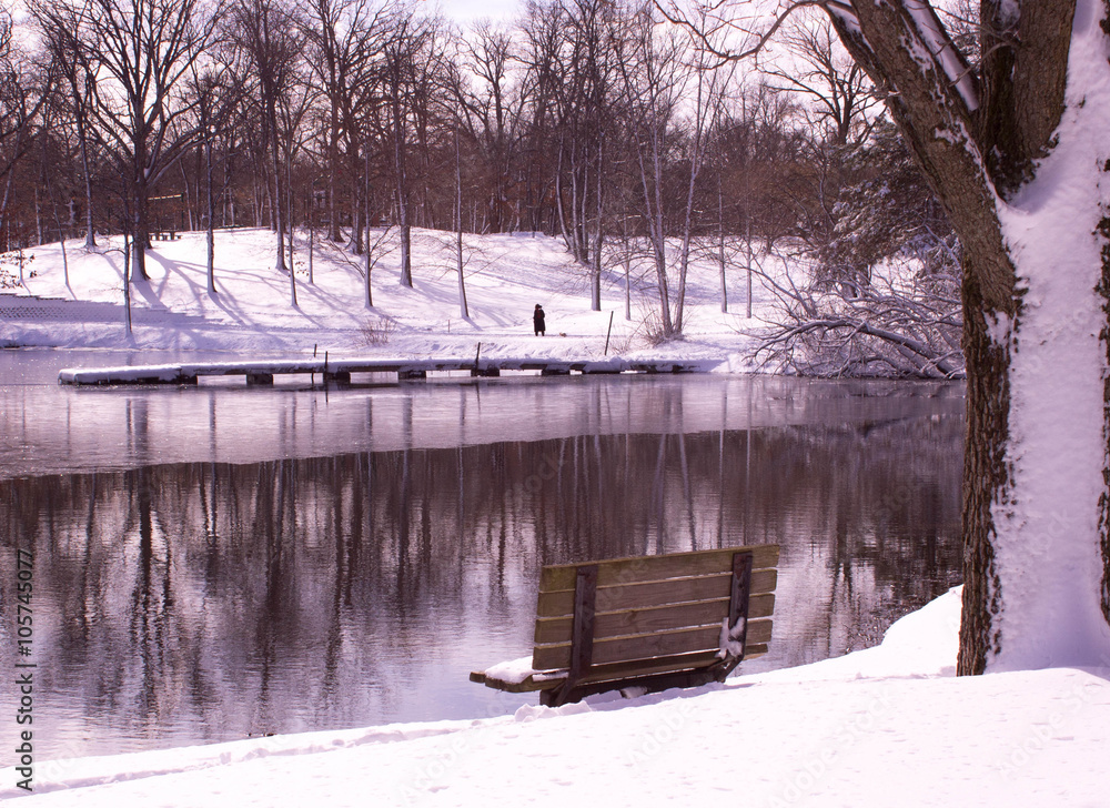 Obraz premium Rogers-Lakewood Park Valparaiso Indiana in winter