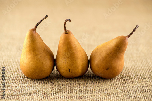 Line up of curvy shaped brown bosc pears