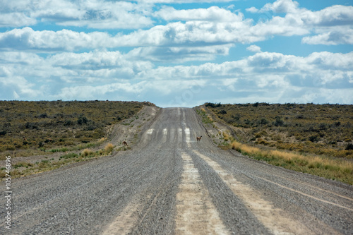 patagonia endless road on sunny day photo