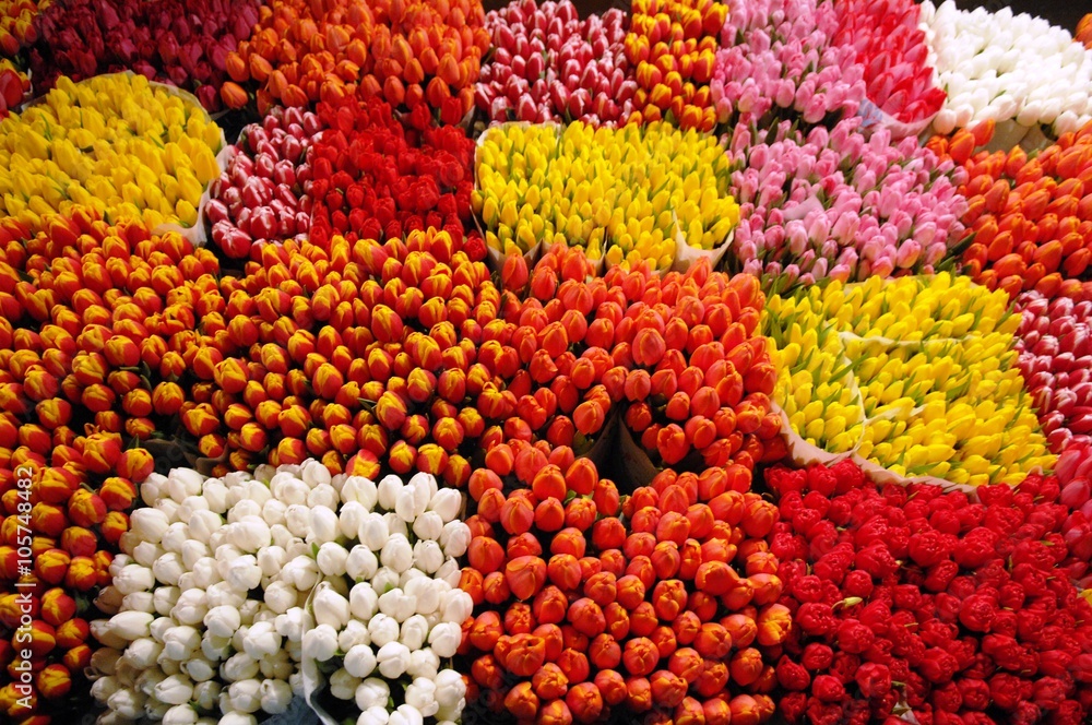 Tulips for sale in a flowers market
