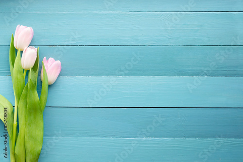 Fototapeta Naklejka Na Ścianę i Meble -  spring flowers on the Board