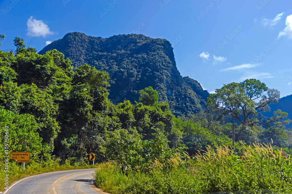 Rural Thai road