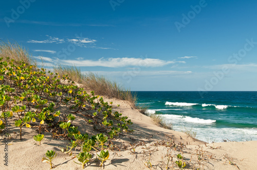 View on dunes of white sand with green grass, blue sky with clouds and ocean with waves. Indian Ocean tropical beach with waves, Tofo, Mozambique