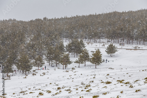 Bild auf Leinwand Snowy landscape of mountains port of Morcuera, Spain