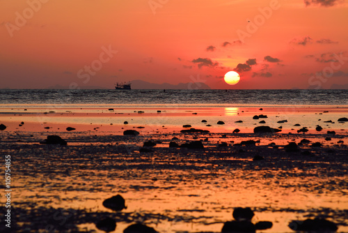 Sunrise over the sea at  phuket thailand with silhouette of fish © teen00000