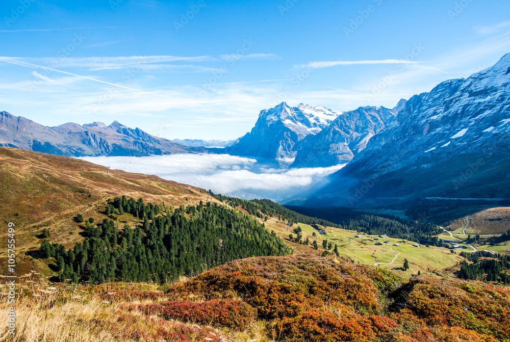 Landscape of Swiss alps over clouds above Grindelwald, Switzerland. Landscape of Swiss alps over clouds above Grindelwald, Switzerland.