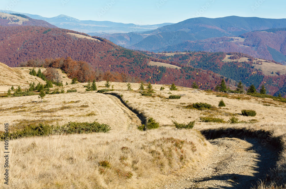 Naklejka premium Rural road in autumn mountain.