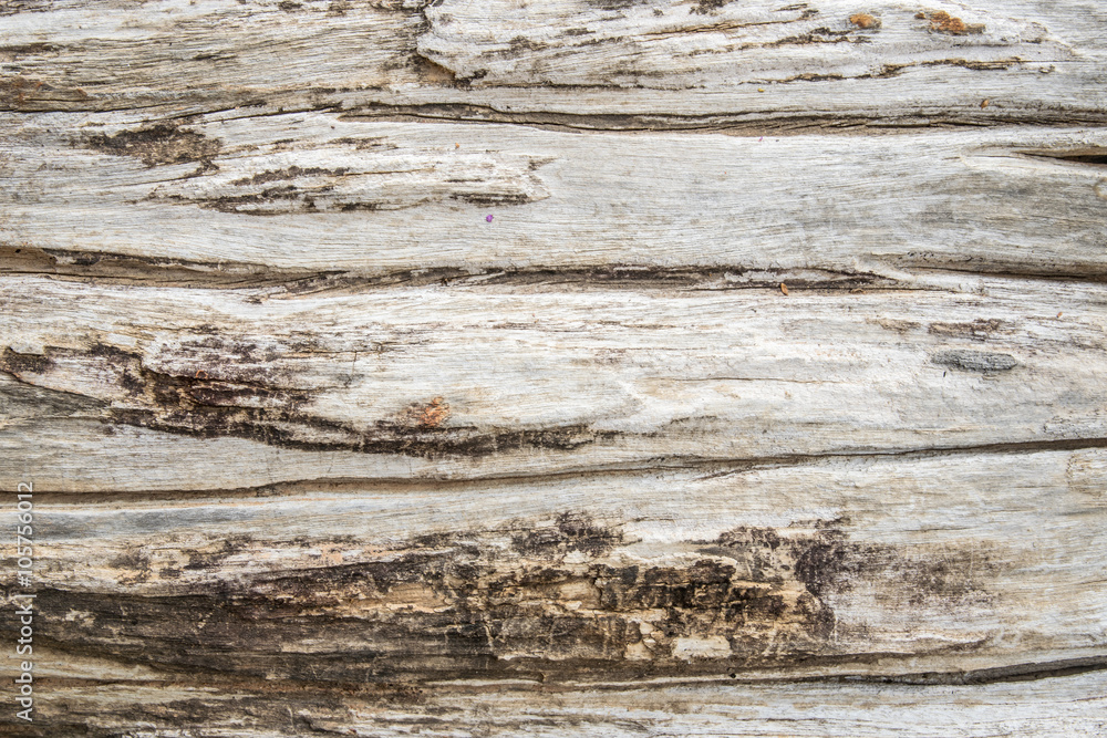 old wood background old wood background