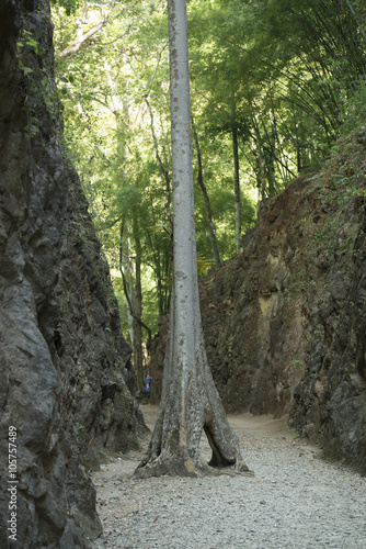 THAILAND KANCHANABURI HILLFIRE PASS DEATH RAILWAY photo