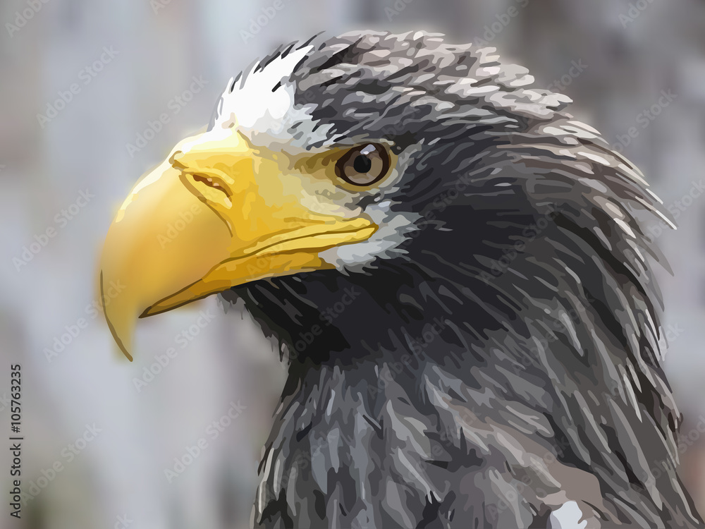 Obraz premium Steller's sea eagle on blurred background vector