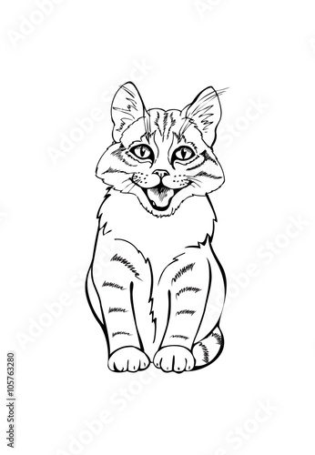 cheerful kitten