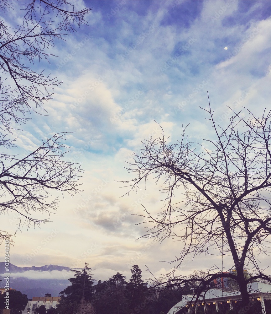 Evening sky with the moon and the clouds captured at Rinia Park in the center of Tirana, the Albanian capital. Evening sky with the moon and the clouds captured at Rinia Park in the center of Tirana, the Albanian capital.