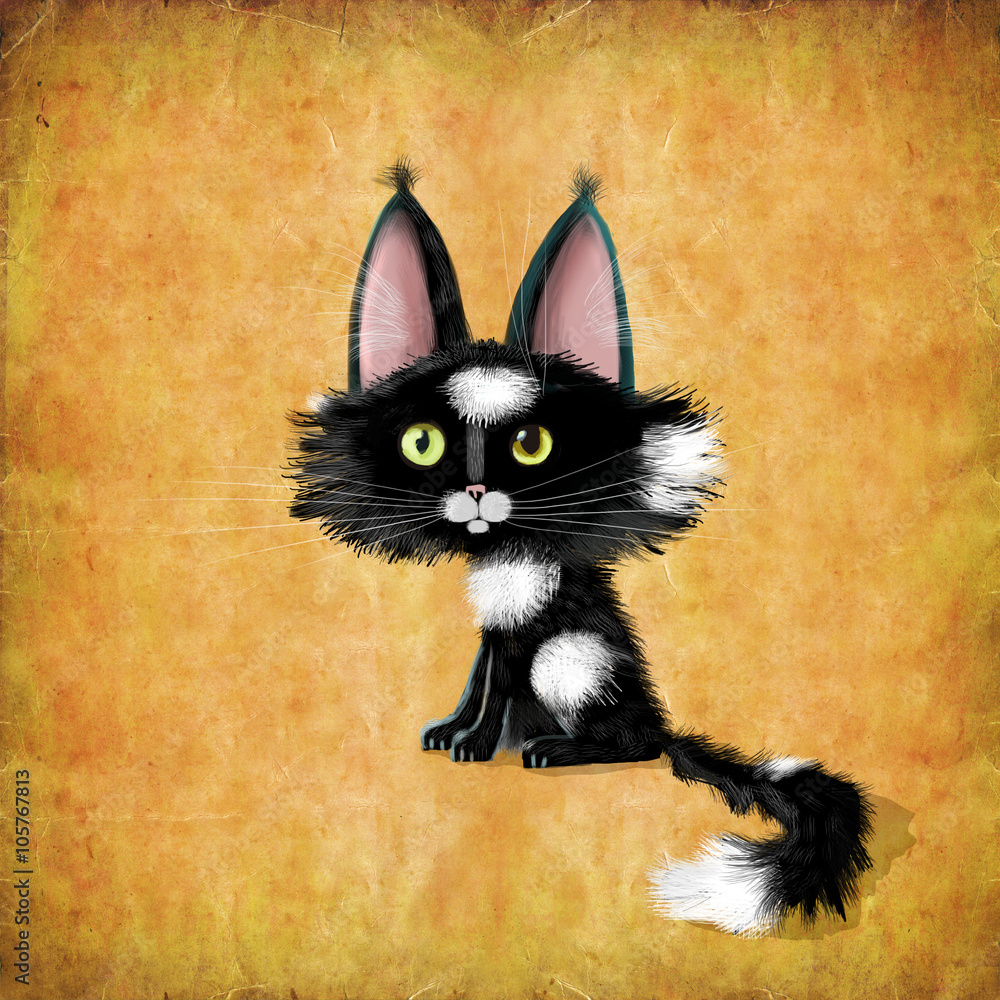 Obraz Czarny kotek z dużymi uszami i oczami na tle malowane ściany