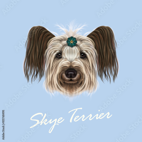 Vector illustrated Portrait of Skye Terrier. 