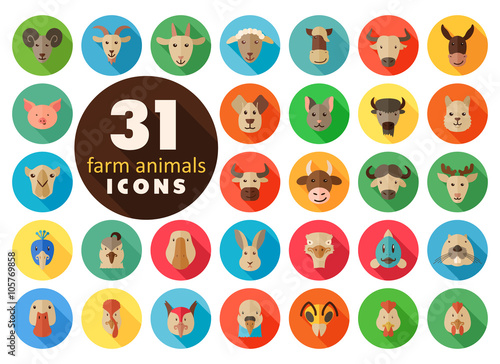 Farm animals flat icons set. Vector head.