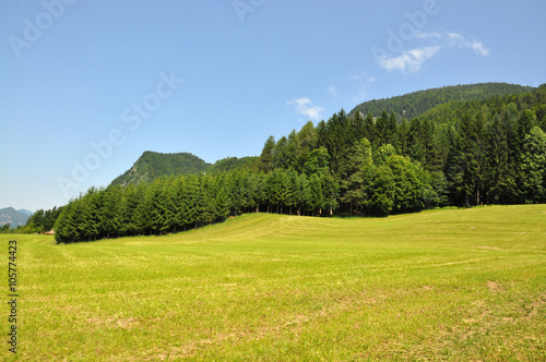 Manicured lawns in the mountains of Austria, St. Wolfgang, mount