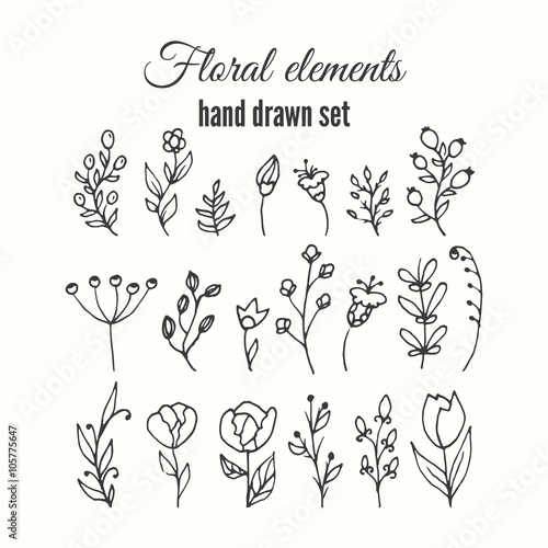 Vector floral decorative set. Herbs and wild flowers.